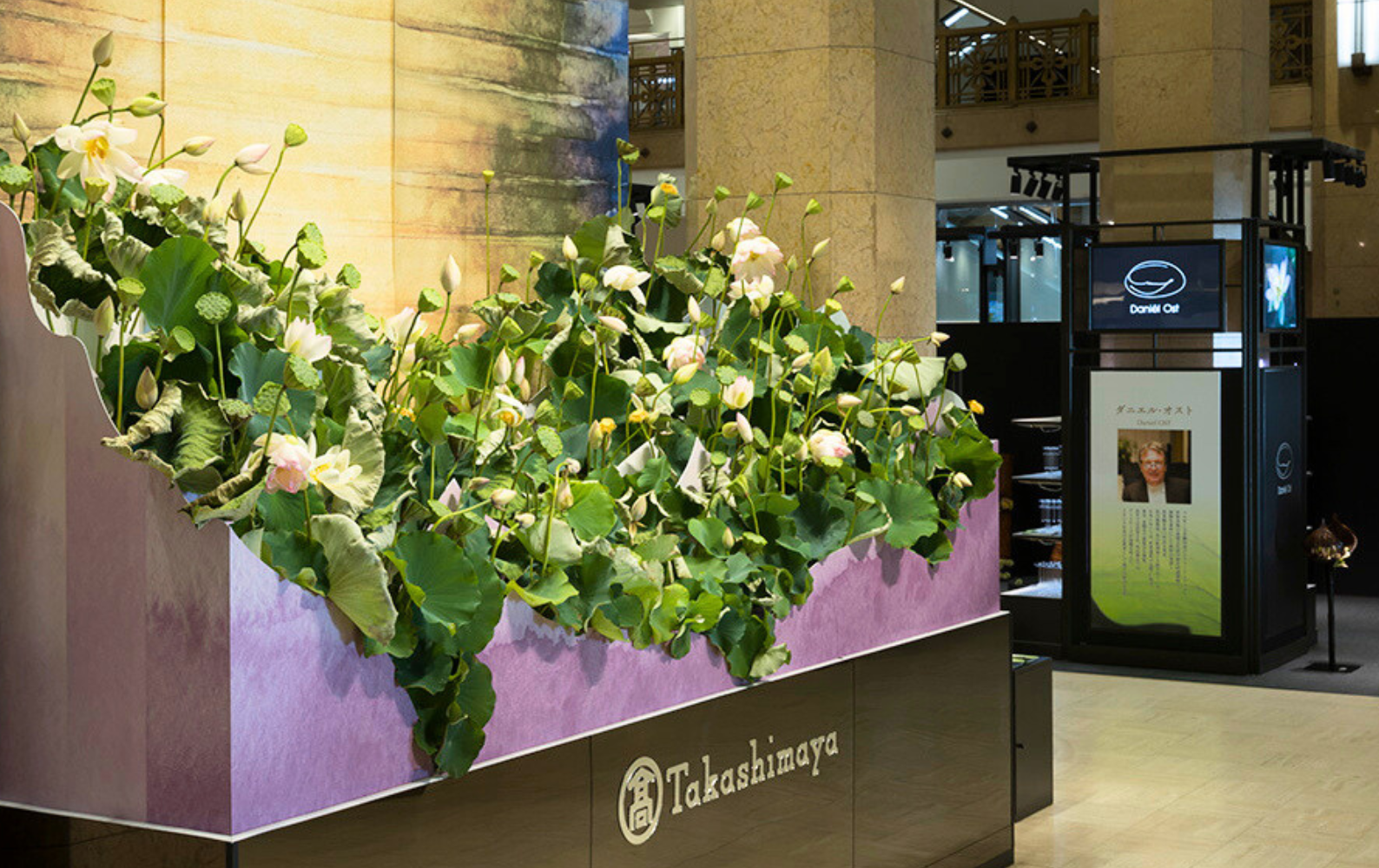 エクセルコ ダイヤモンド