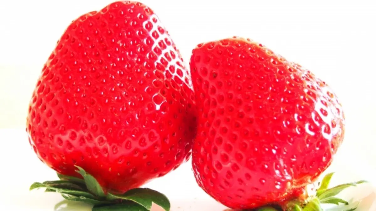 その目立つ毛穴 コロナのせいかも 黒ずみ毛穴 ぽっかり毛穴 だるみ毛穴 毛穴悩みを追い込み美容でスッキリ解決 みんなのウェディングニュース