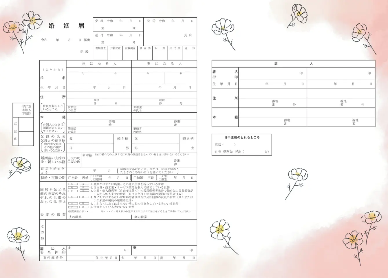 コスモス畑