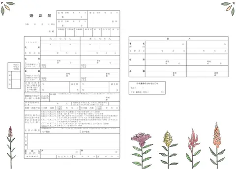 ケイトウの花