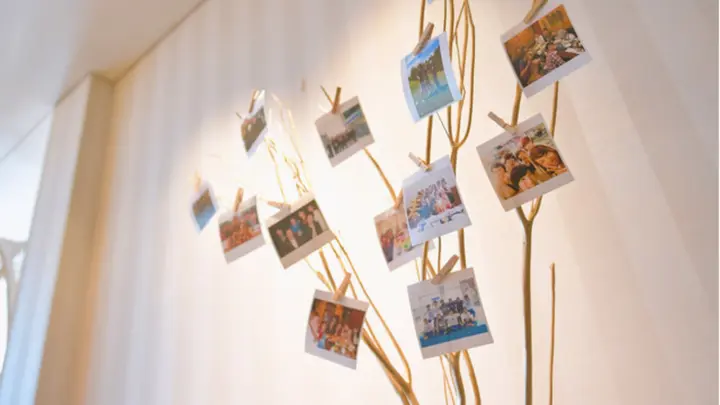 ウェルカムスペースを彩る ナチュラルかわいい ウェルカムツリー アイデア みんなのウェディングニュース