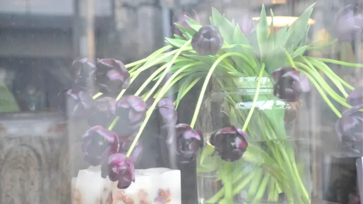 心地よい風が吹く五感空間 工房花屋のウェディング みんなのウェディングニュース