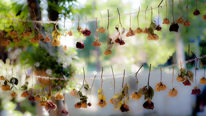 ウェディング フォトブース ナチュラルフラワー ナチュラルブーケXL オレガノパープル ウェディング 結婚式 ドライ