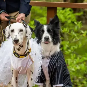おすすめの演出のイメージ3