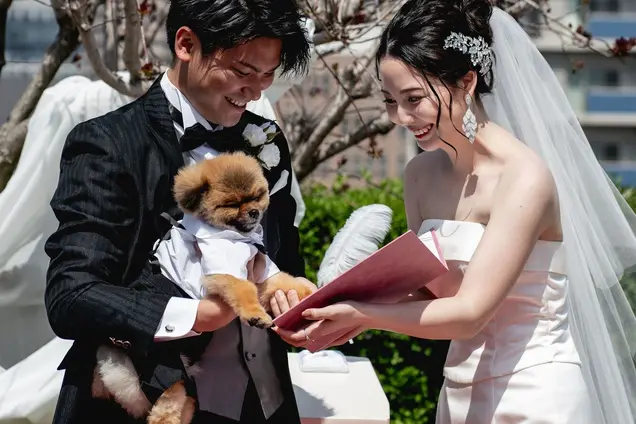結婚証明書に肉球サインのイメージ