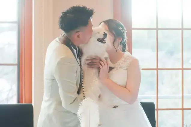 サンドイッチキスのイメージ