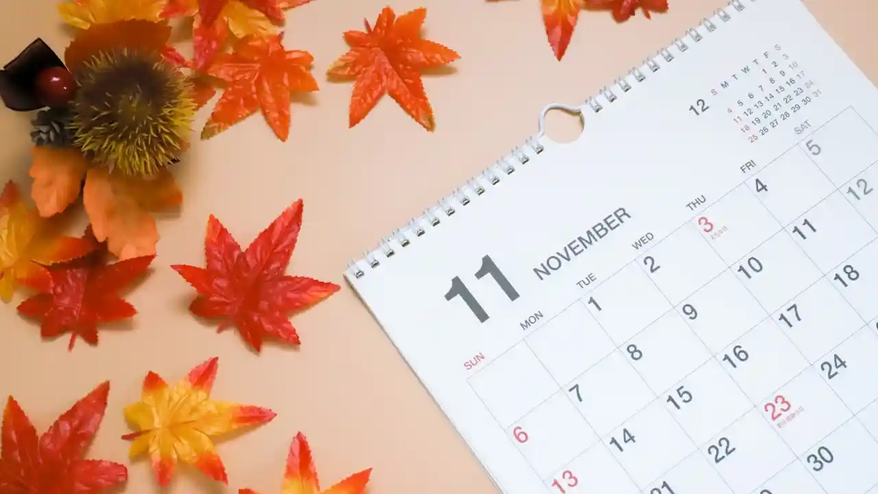 11月カレンダー