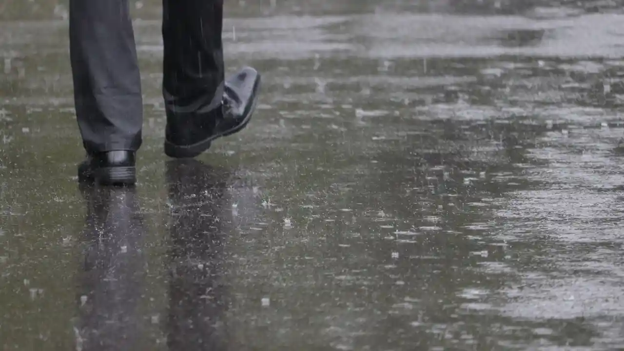 ã€ã¬ã®ã¥ã©ãŒå¯Ÿå¿ã®äŸæé