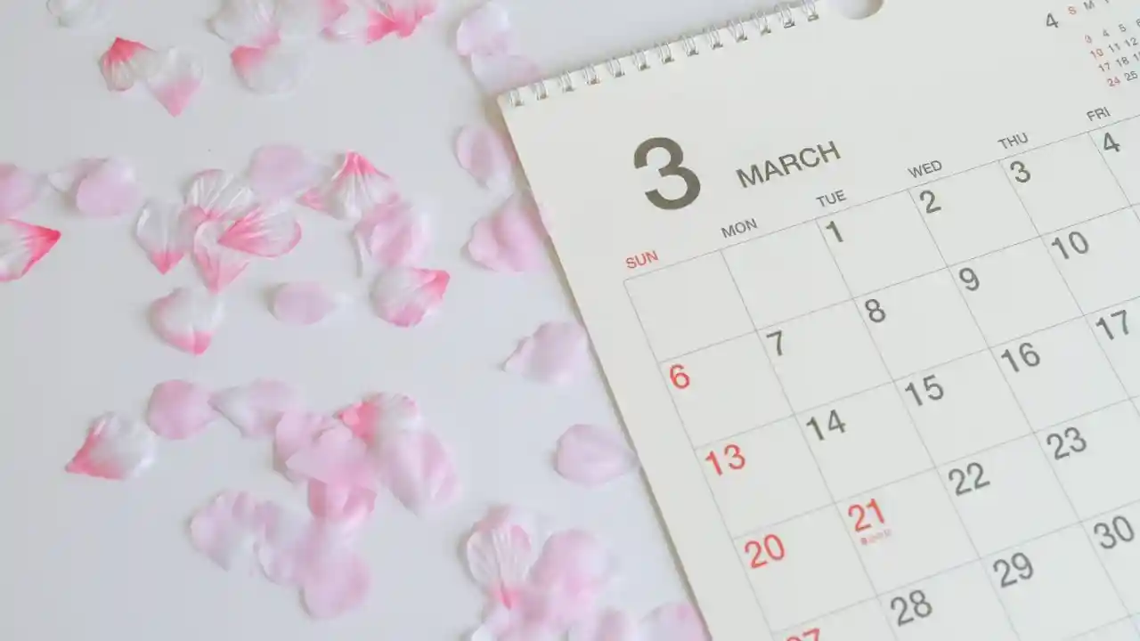 3月のカレンダー　春イメージ