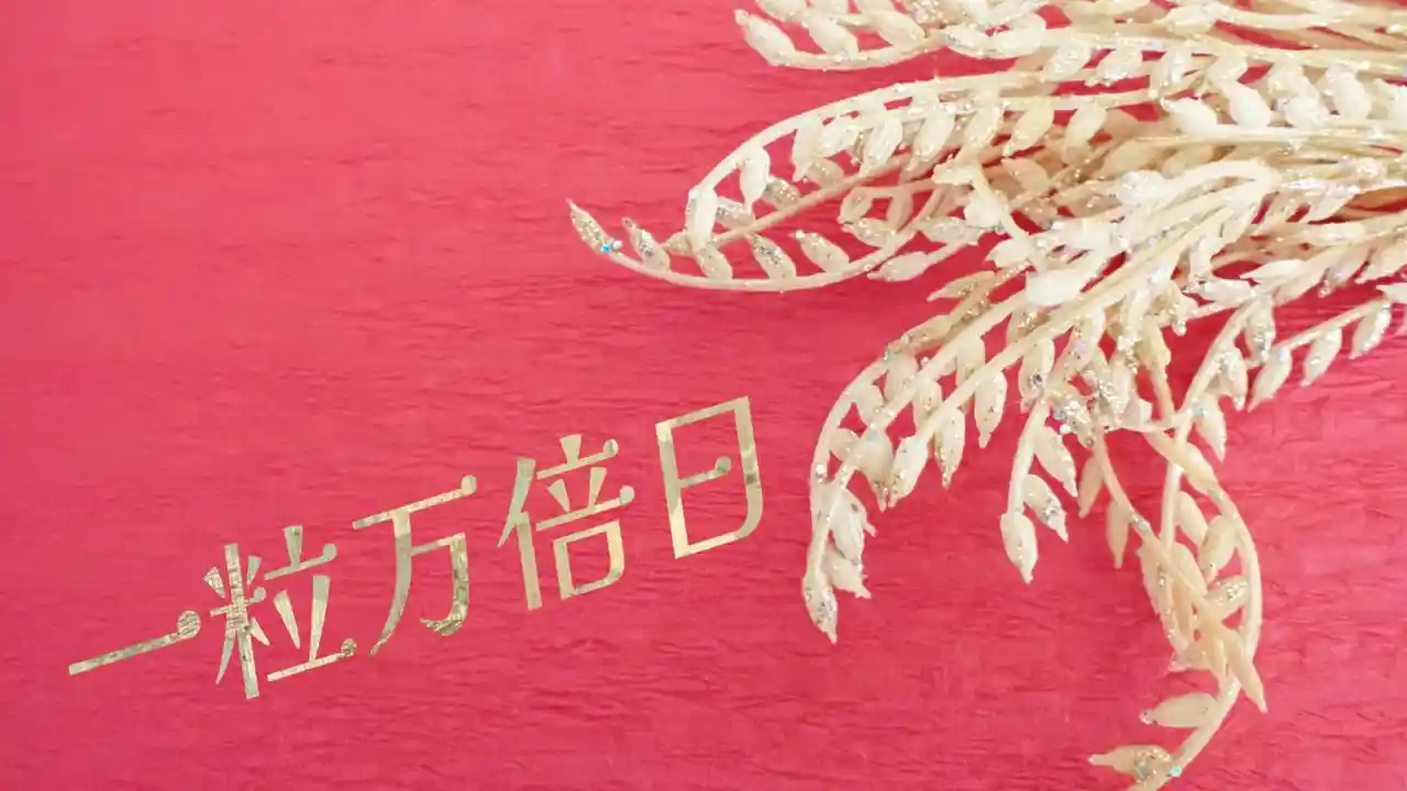 一粒万倍日