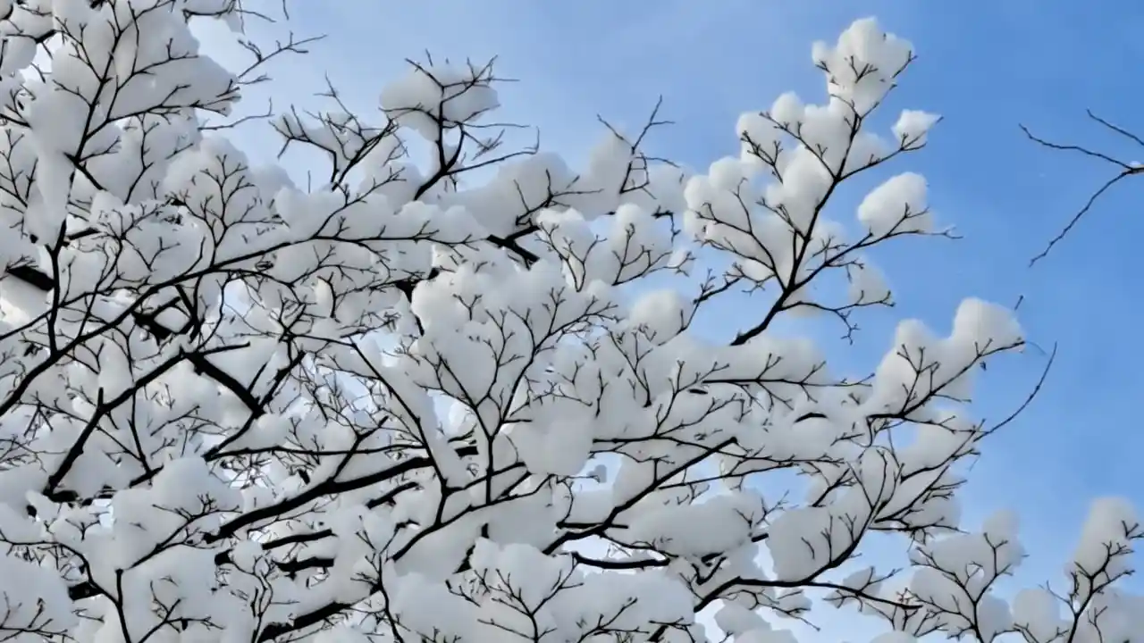 要チェック!結婚関係のことは避けたほうがよい日