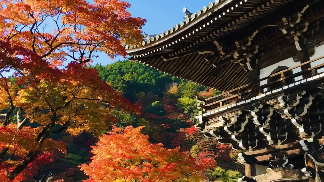 神社と紅葉の写真