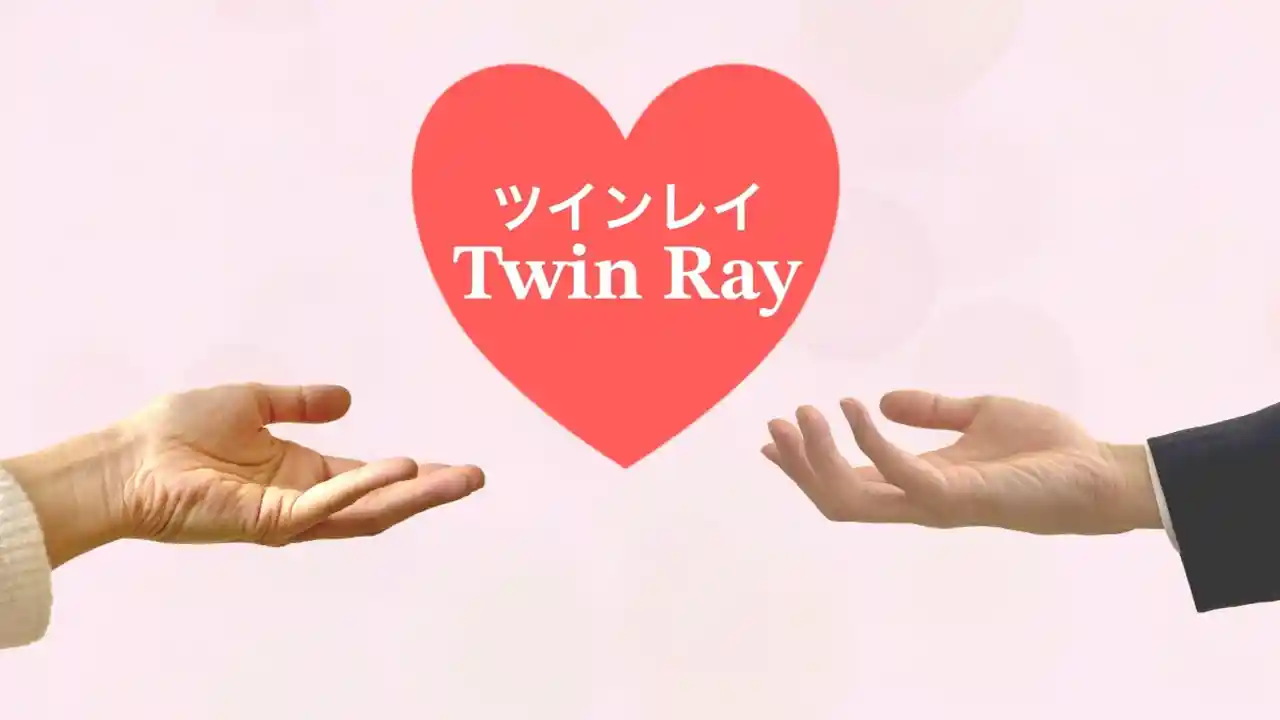 ツインレイ