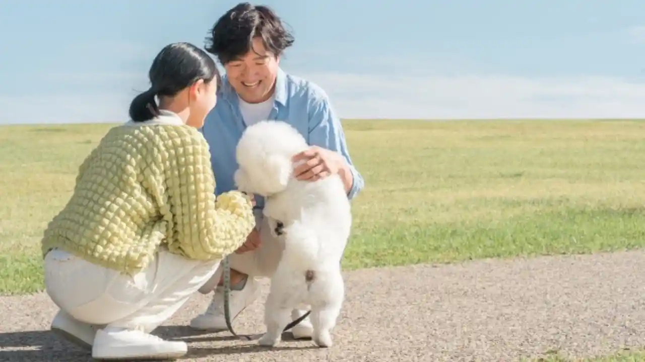 犬と散歩する男女