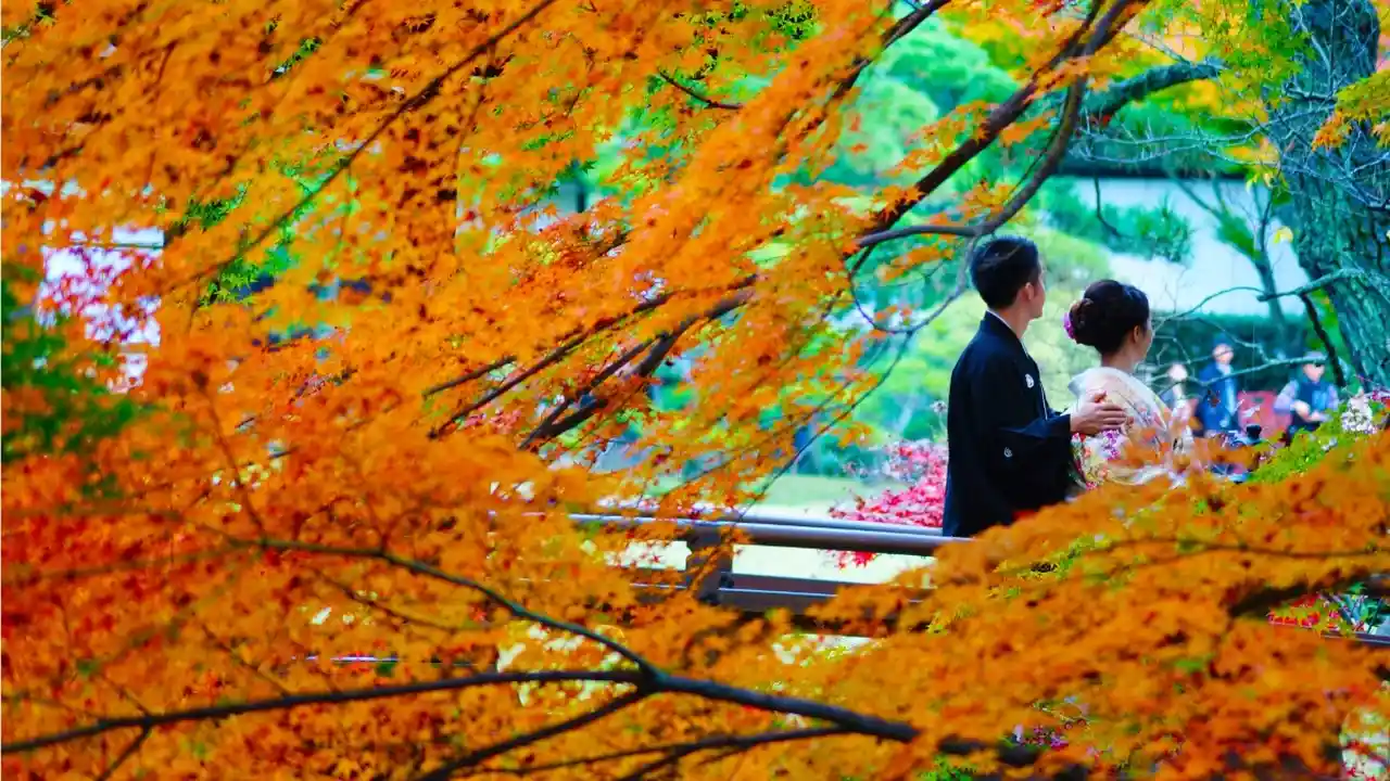 11月の結婚式