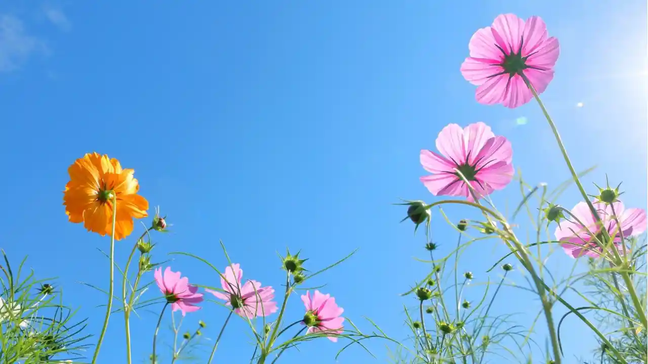 2026年10月のハッピーな語呂の日