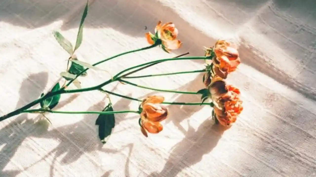 一緒にいてラク ってこういうこと 波長が合う人の見つけ方top3 みんなのウェディングニュース