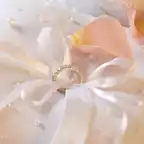 結婚指輪は可愛いデザインで決まり！人気ブランドの「キュートな指輪」をチェック