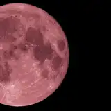 【2026年4月満月】ピンクムーンはいつ？スピリチュアルな意味と恋を叶える願い事の書き方