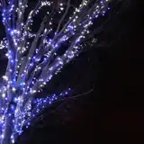 【2025年版】12月の満月「コールドムーン」を解説！スピリチュアルな意味や日時・観測方法