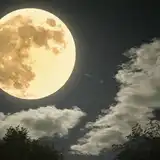 【2025年】11月の満月「ビーバームーン」はいつ？由来やスピリチュアルな意味を解説！