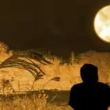 「月が綺麗ですね」の意味と返し方！粋な返し方から現代風アレンジ、自然に使うコツも解説