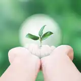 1月23日(日)の予定は?縁起のいい「一粒万倍日×進歩の日」にやりたいことリスト&避けることリスト