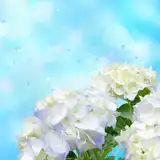6月15日(火)は2021年最後で最強の開運日!ガッキーもゲン担ぎした?一粒万倍日に天赦日が重なる貴重な吉日