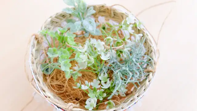 試してみた オシャレでコスパ良し ナチュラルキッチン でウェディングdiy みんなのウェディングニュース