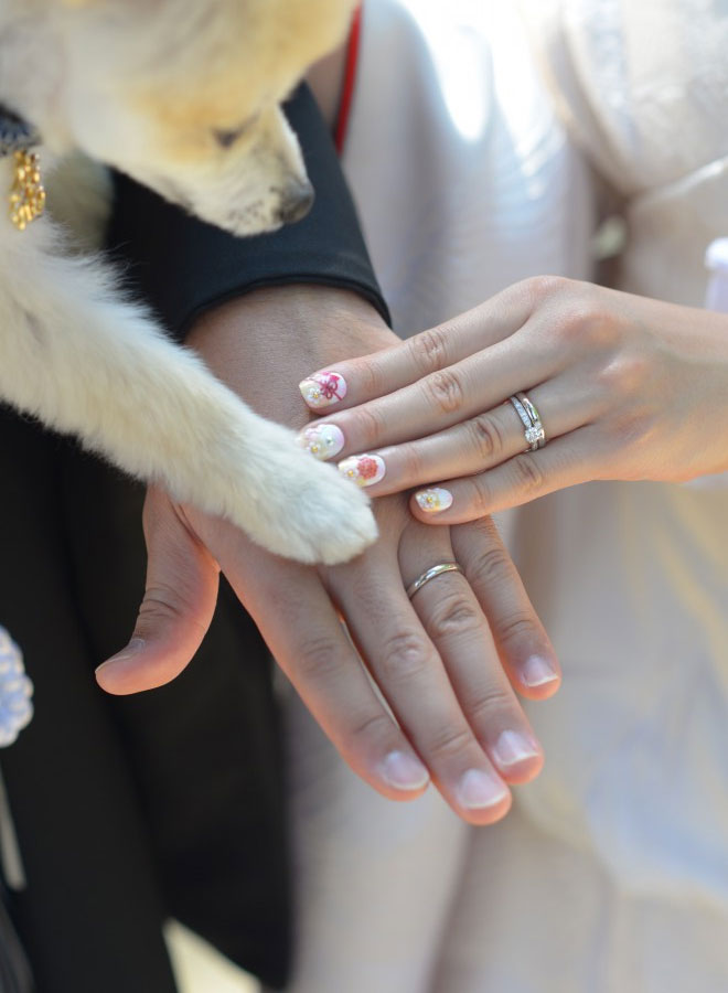 Nさんの撮影された写真